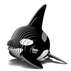 Eugy Orca